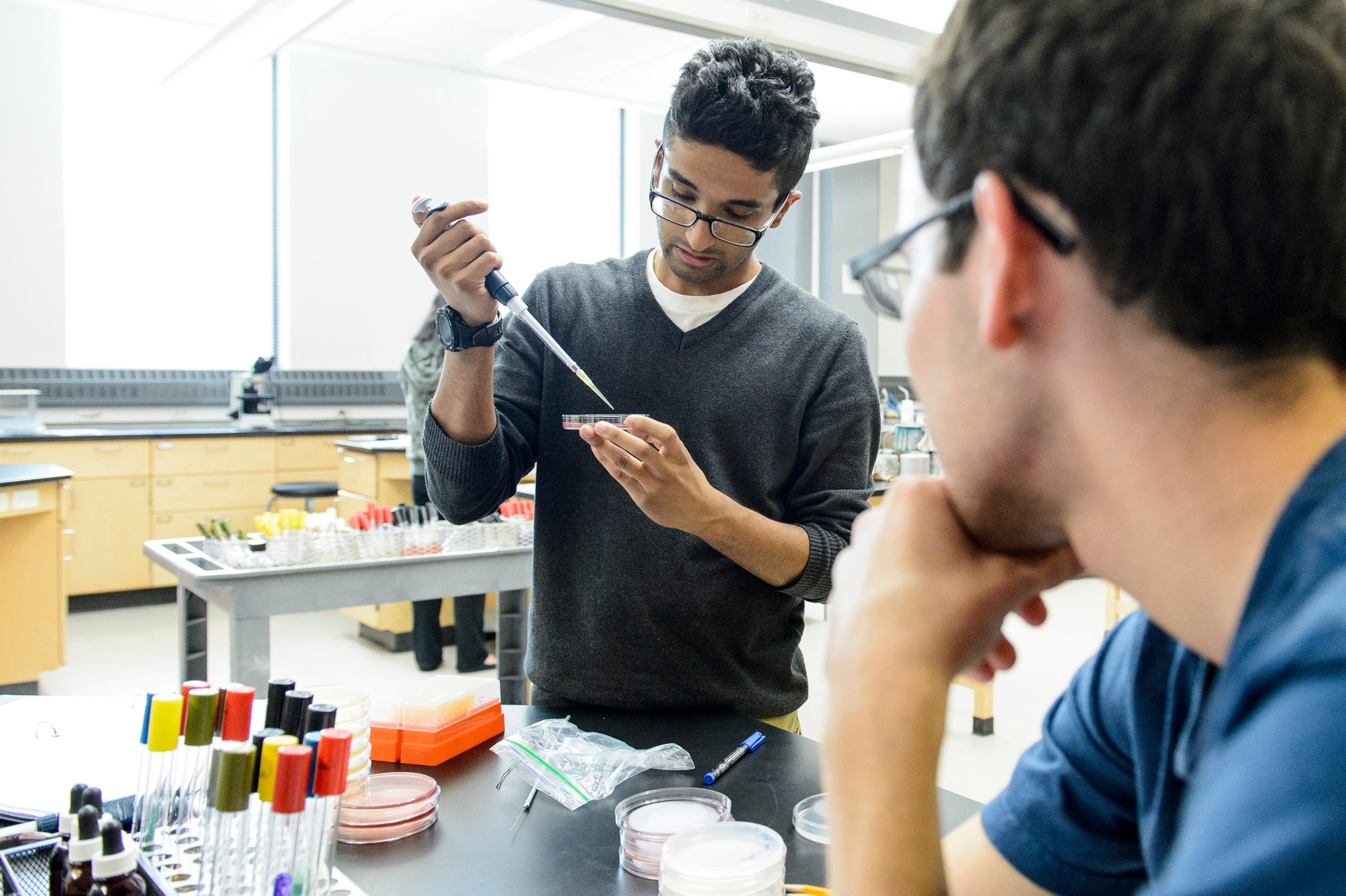 Students work in microbiology lab course.