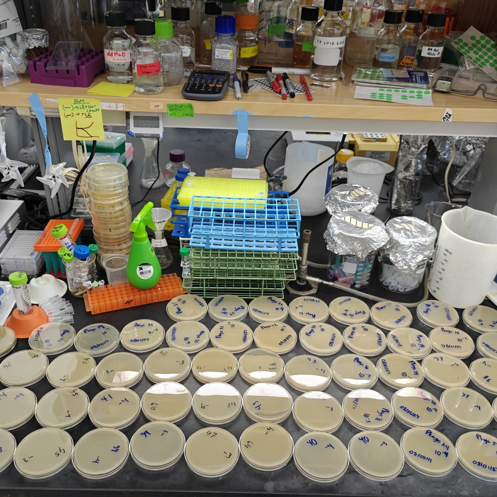 Science gets messy...