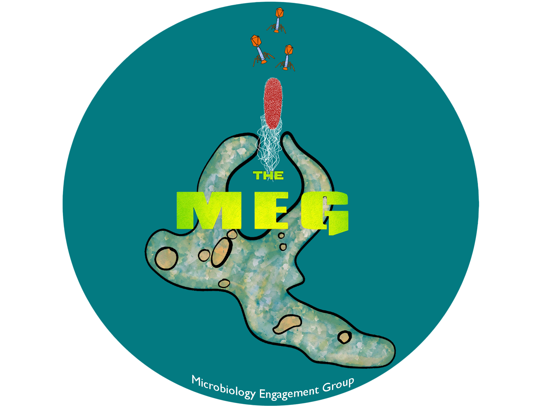MEG Logo